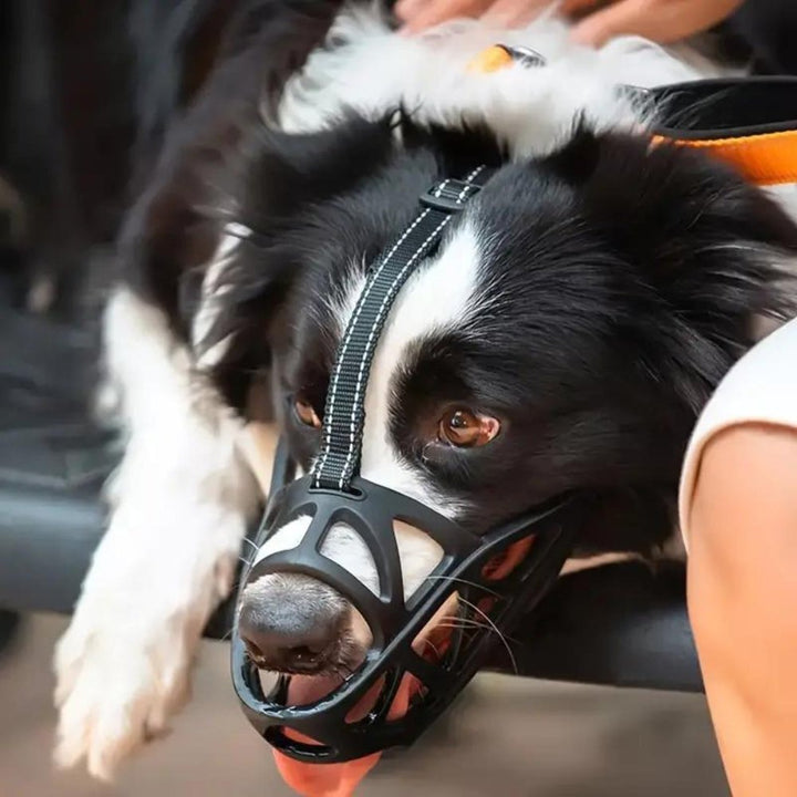 Comfortable, breathable dog muzzle, ideal for daily wear, stops biting & unwanted barking effectively.