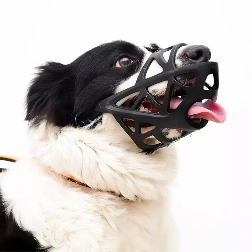 Soft dog muzzle for training & vet visits. Secure anti-bite design keeps pets calm & owners safe.