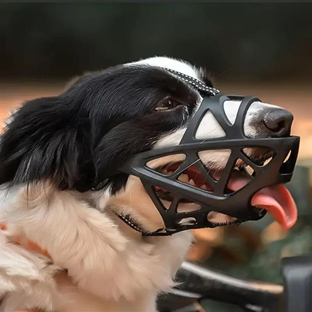 Pet accessory: Gentle muzzle for dogs, perfect for vet visits, grooming, and public safety.