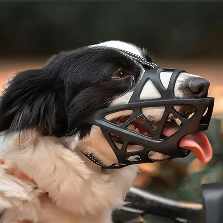 Pet accessory: Gentle muzzle for dogs, perfect for vet visits, grooming, and public safety.