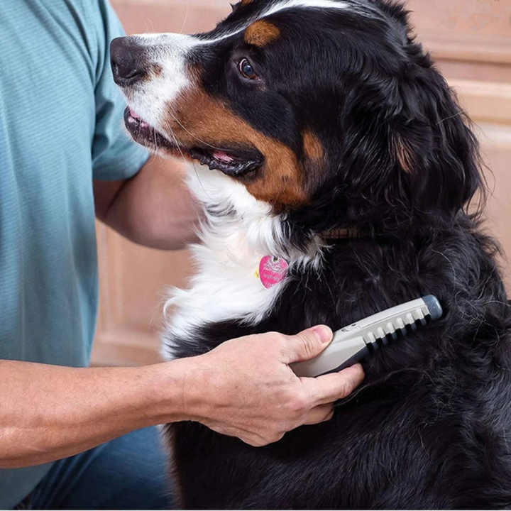 Soft-bristle gentle pet grooming detangler brush for comfortable tangle removal on dogs and cats.