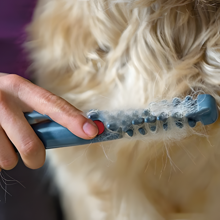 Dog grooming detangler brush with ergonomic handle for easy shedding control & tangle-free coat.