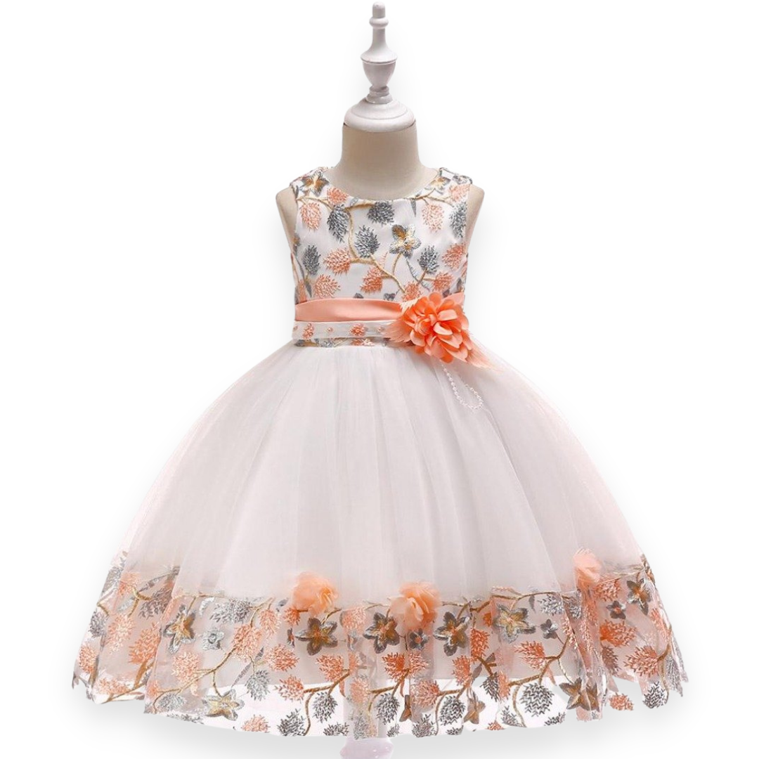Detailed embroidered floral princess dress for girls, ideal for special occasions.