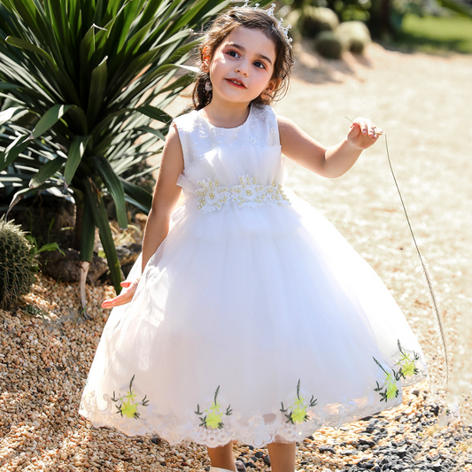 Girls' floral lace princess party dress with elegant embroidery and a bow, perfect for special occasions