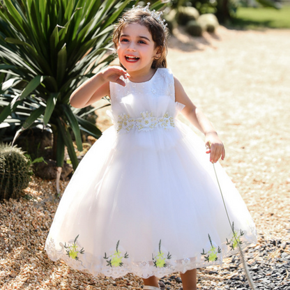 Toddler girl's floral lace ball gown, sleeveless, with intricate embroidery for a party