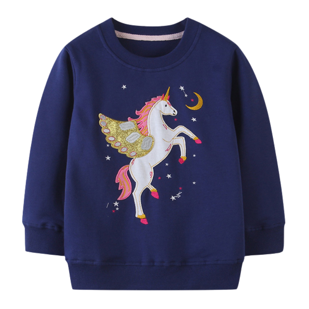 Girls' magical unicorn embroidery pullover sweater, long sleeve, cotton, for toddlers & kids