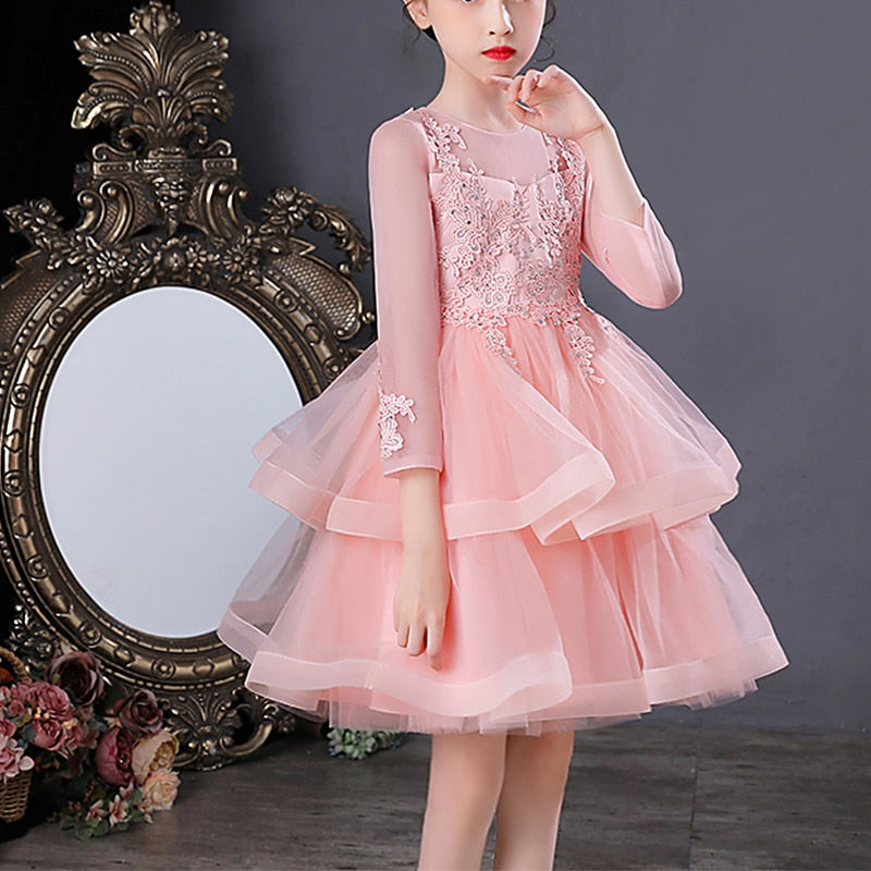 Toddler girl in an embroidered white and pink beaded mesh dress, ideal for birthdays or special occasions.