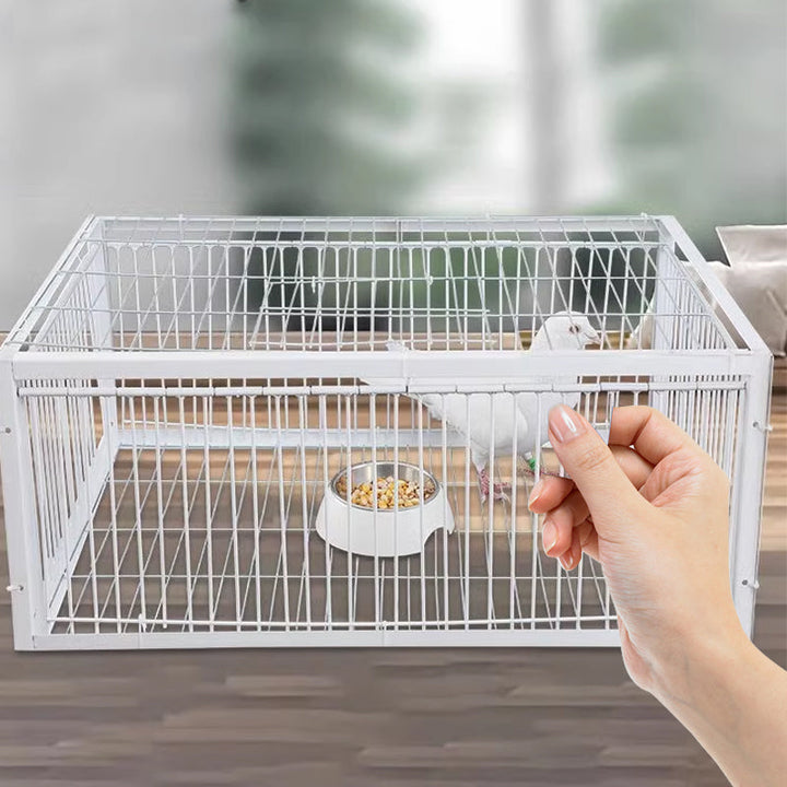 Humane bird trap for safe capture & release of garden pests. Effective wildlife control solution.