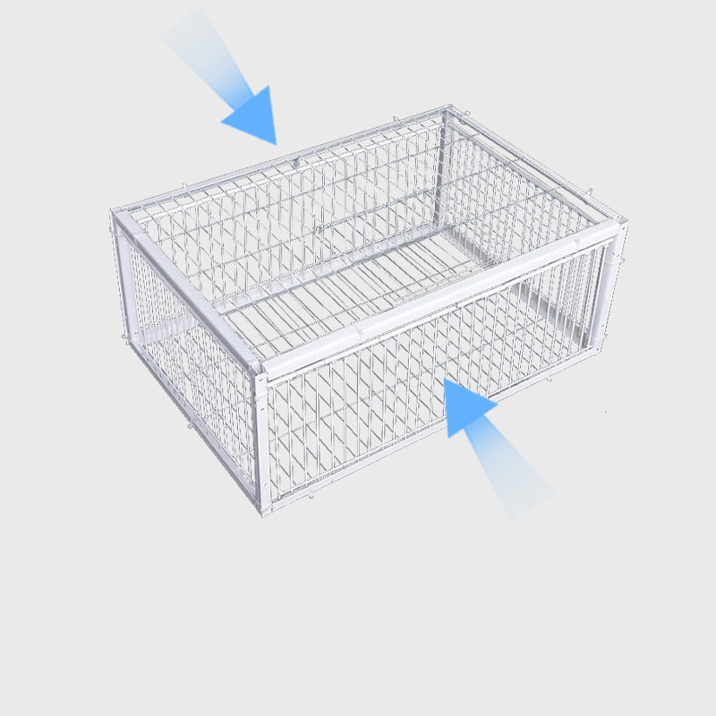 Humane bird trap for safe capture, release, & wildlife control in gardens & farms. Your pest solution.