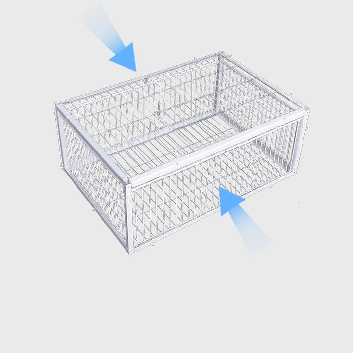 Humane bird trap for safe capture, release, & wildlife control in gardens & farms. Your pest solution.