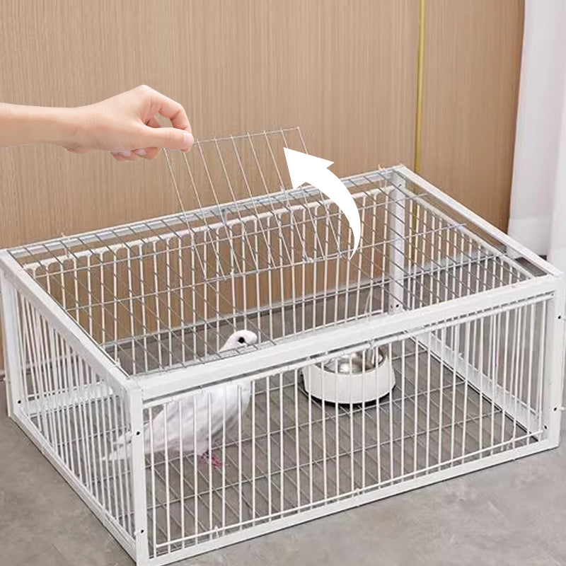 Durable live bird trap cage ensures safe capture & release of unwanted birds. Humane pest solution.