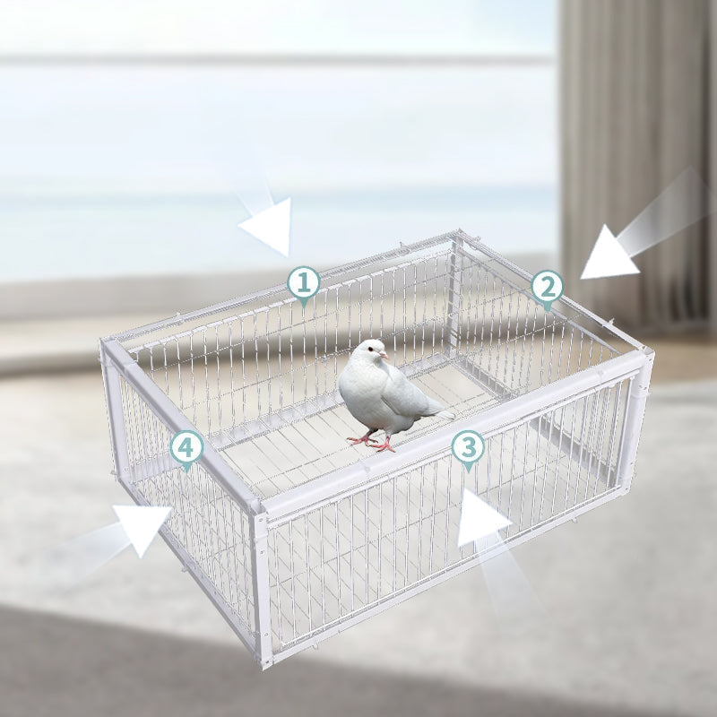 Humane bird trap, live animal cage for yard protection, safe pest management solution. Farm control.