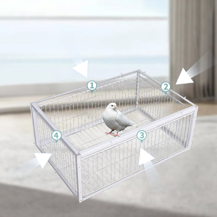 Humane bird trap, live animal cage for yard protection, safe pest management solution. Farm control.