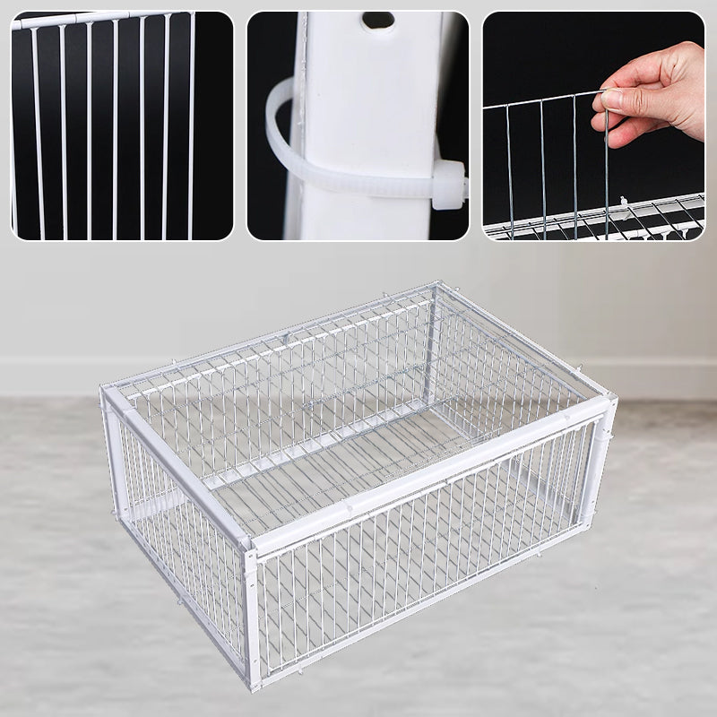 Easy-setup humane bird trap for safe capture & release of garden birds. A kind wildlife control method.