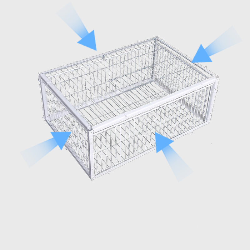 Sturdy bird cage live trap for humane capture & release of wild birds. Essential garden pest solution.
