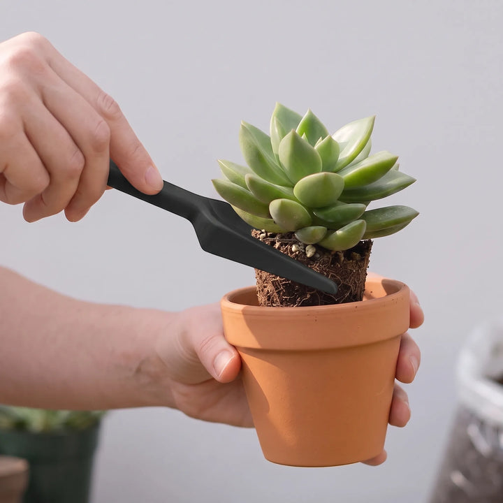 Indoor Miniature Plant Care Tool Kit with various precision tools for small houseplants & succulents.