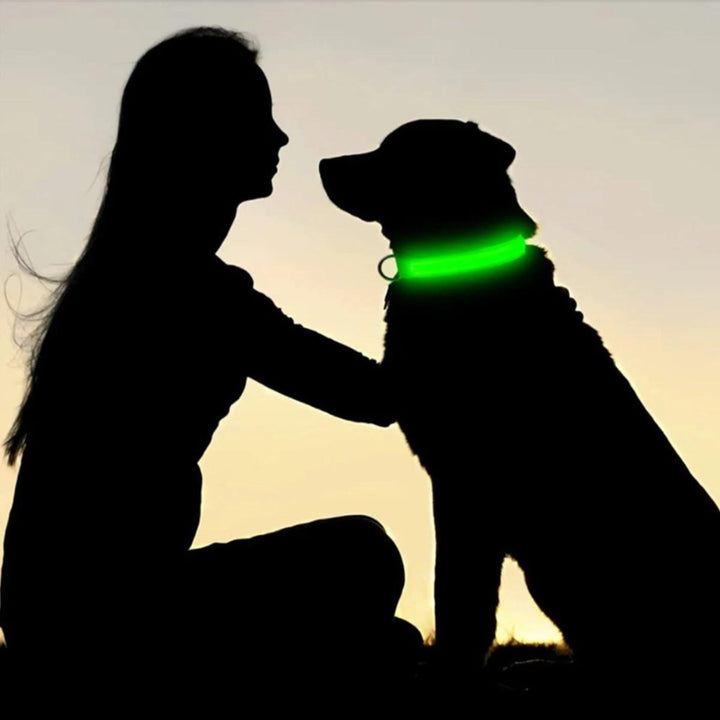 Luminous AirTag dog collar with glowing LED light, ensuring high visibility and safety for active dogs at night.