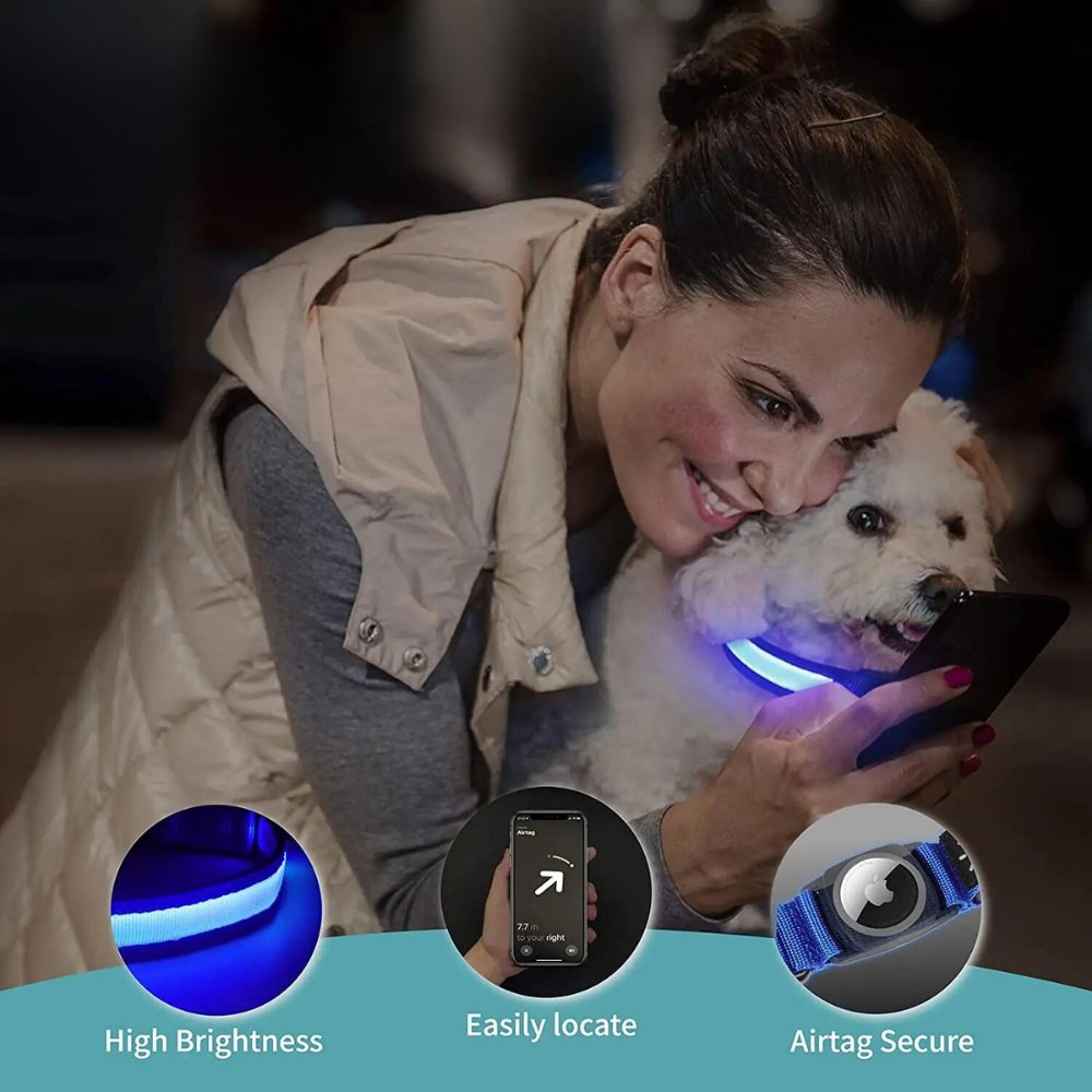 Waterproof AirTag dog collar on an active dog near water, featuring LED light for outdoor pet safety & tracking.