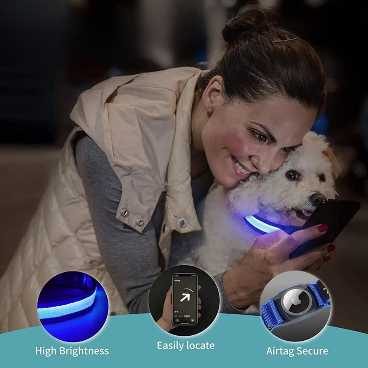 Waterproof AirTag dog collar on an active dog near water, featuring LED light for outdoor pet safety & tracking.