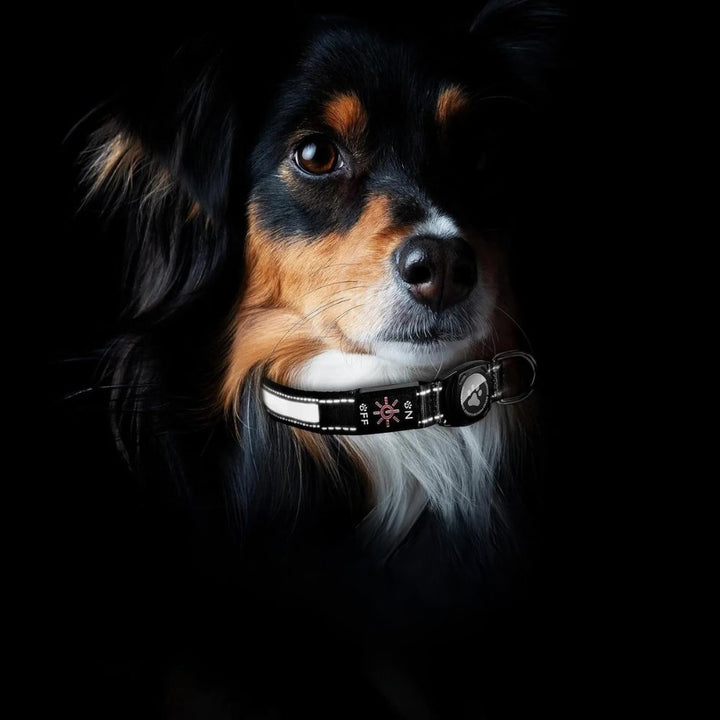 Durable, comfortable AirTag dog collar made from high-quality waterproof material with integrated LED light.