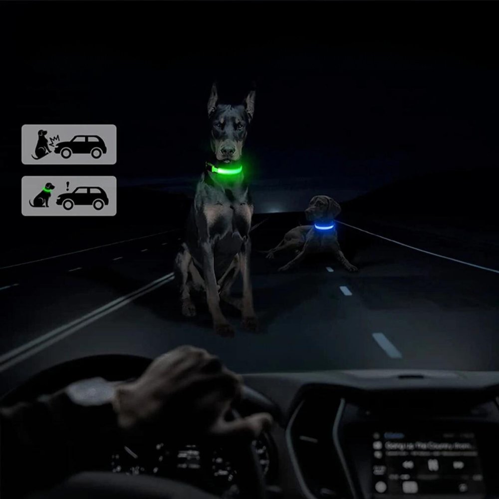 Adjustable AirTag dog collar with built-in LED light & waterproof design, suitable for various dog breeds & sizes.