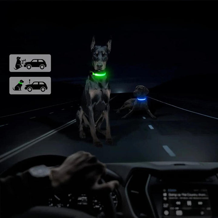 Adjustable AirTag dog collar with built-in LED light & waterproof design, suitable for various dog breeds & sizes.