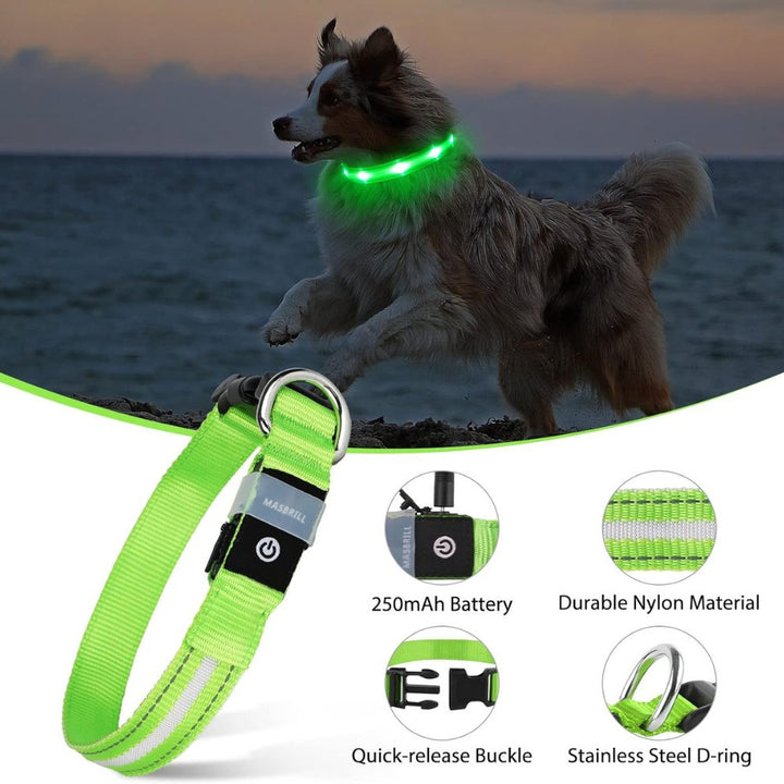 Happy dog wearing a waterproof AirTag collar with LED light, ready for adventures and safe outdoor exploration.