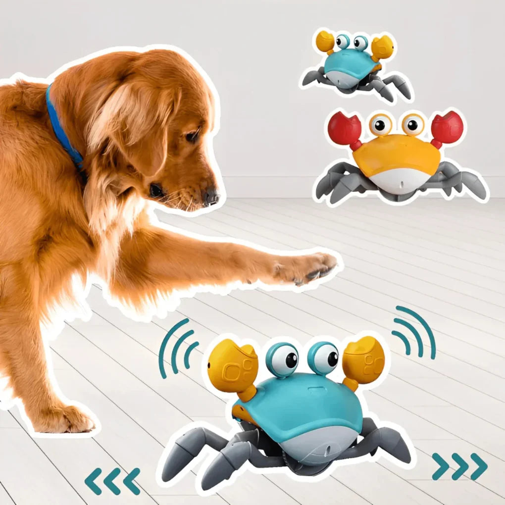 Soft interactive blue and orange crab dog toy, featuring squeaky & crinkle paper for active play.