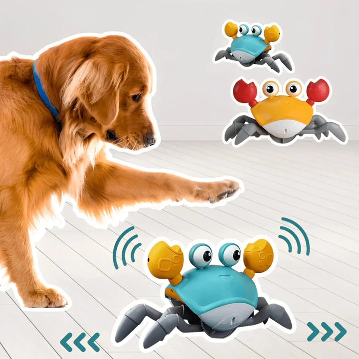 Soft interactive blue and orange crab dog toy, featuring squeaky & crinkle paper for active play.