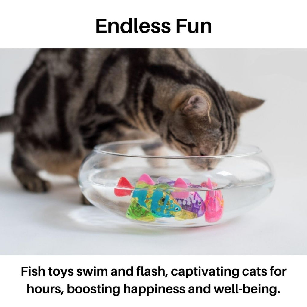 Pet's swimming cat toy with LED lights, an interactive fish for endless water play and stimulation.
