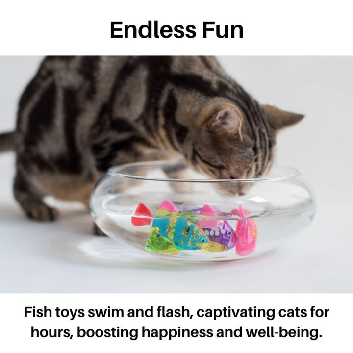 Pet's swimming cat toy with LED lights, an interactive fish for endless water play and stimulation.