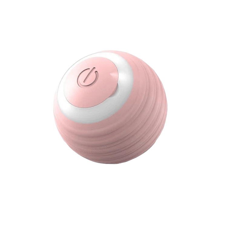 Interactive dog play toy: a self-bouncing, rechargeable ball designed for active canine fun.