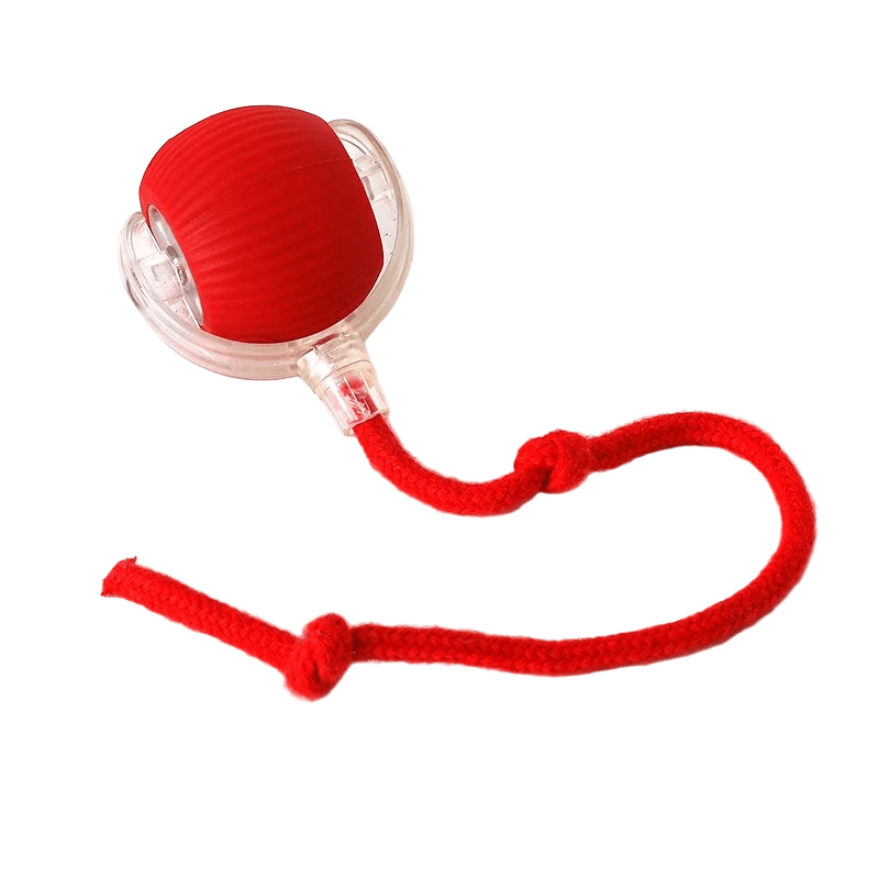 Rechargeable pet play ball, interactive and bouncing, ideal for keeping dogs entertained indoors.