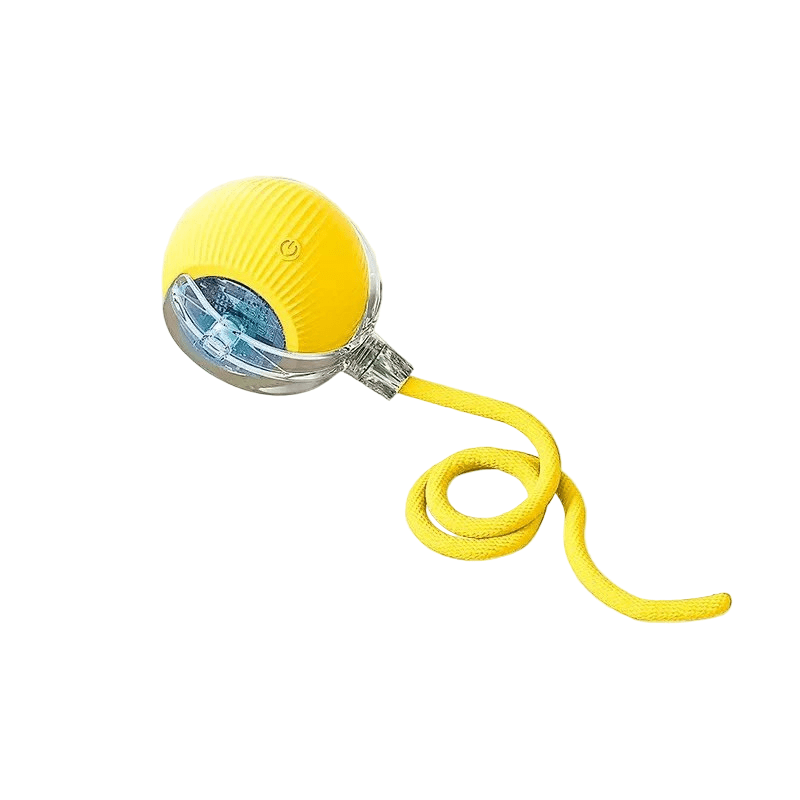Happy golden retriever playing with a rechargeable interactive bouncing dog ball outdoors.
