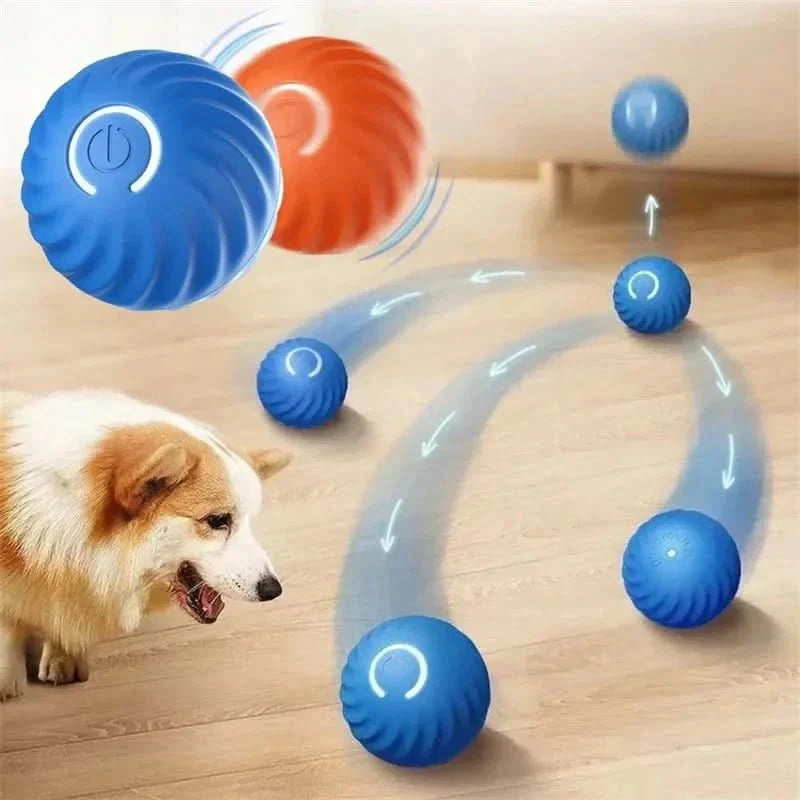 Happy dog playing with a red interactive bouncing ball, a fun rechargeable pet toy for exercise.