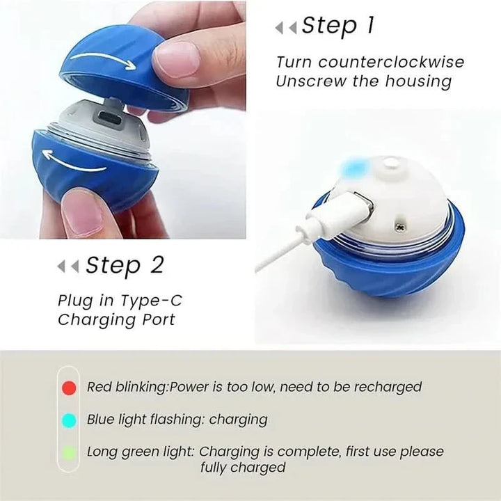 Innovative interactive dog toy: a bouncing, self-moving, rechargeable ball for active pets.