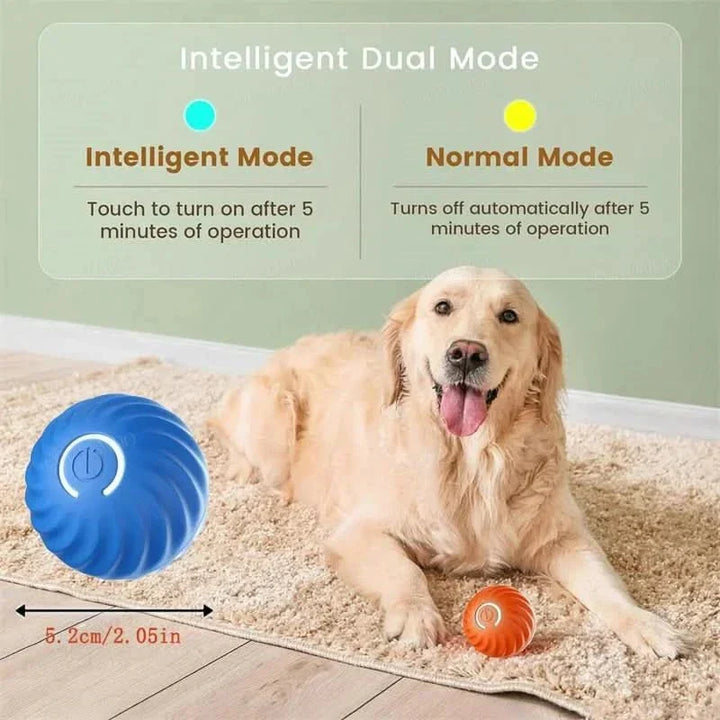 Pet supplies essential: a smart interactive bouncing ball, USB rechargeable for dog engagement.