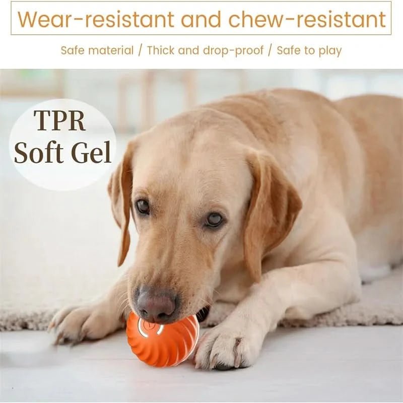 An interactive dog ball designed to bounce erratically, rechargeable for stimulating playtime.