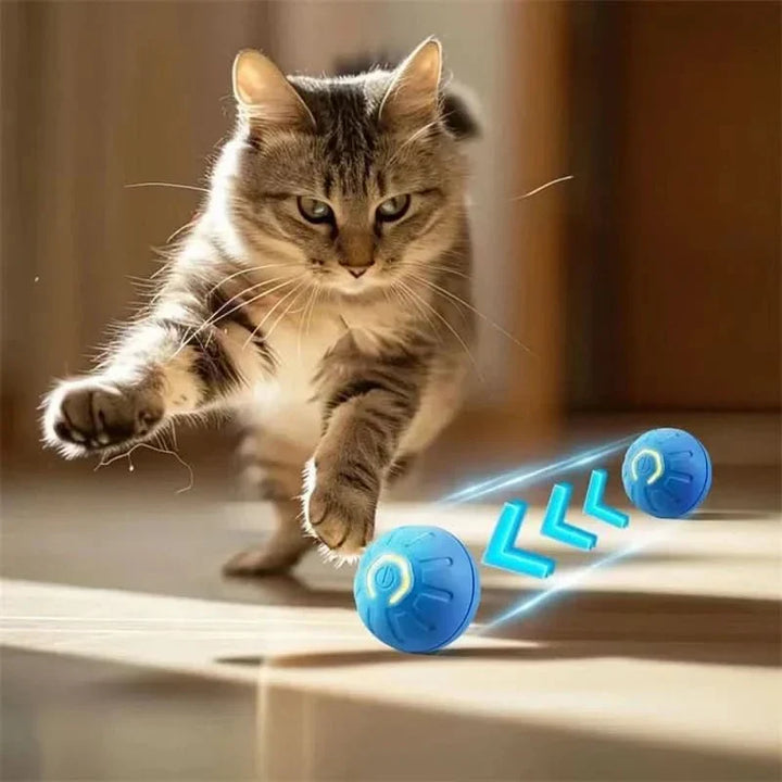 Close-up of a durable, rechargeable interactive dog ball, perfect for stimulating playtime.