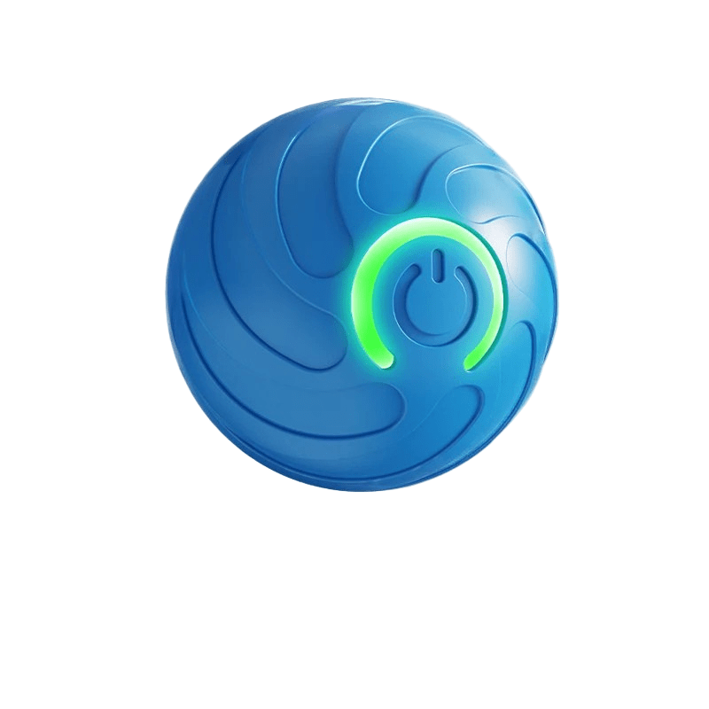 Small dog happily engaging with a motion-activated interactive bouncing ball, an enriching pet toy.