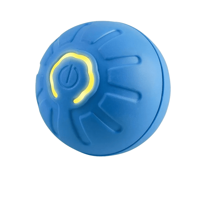 Puppy playing with a bouncing interactive dog toy, a rechargeable ball providing mental stimulation.