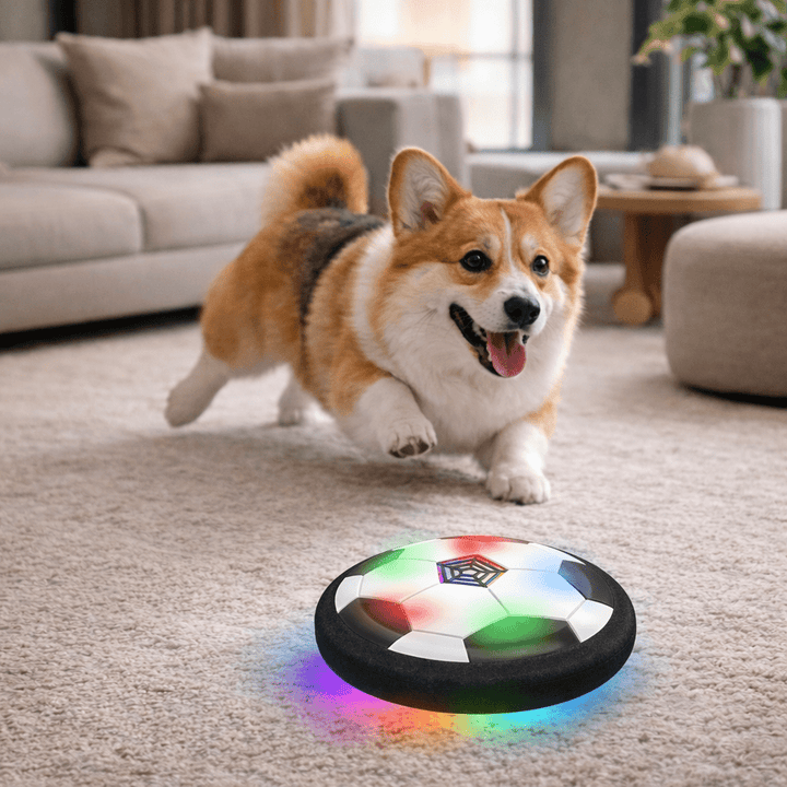 Interactive dog toy ball for mental stimulation & dynamic play. Durable, engages active dogs indoors or outdoors.