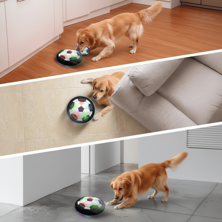 Durable interactive dog toy ball, provides canine fun, mental stimulation & dynamic play for active dogs & puppies.