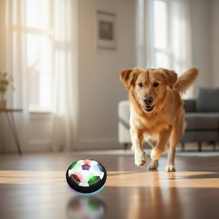Versatile interactive dog toy ball for indoor/outdoor play. Promotes mental engagement & active fun for all dogs.