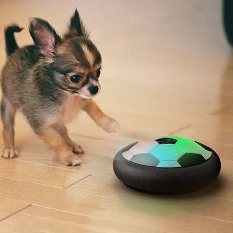 Engaging interactive dog toy ball for puppies & adult dogs. Boosts mental stimulation and dynamic physical play.