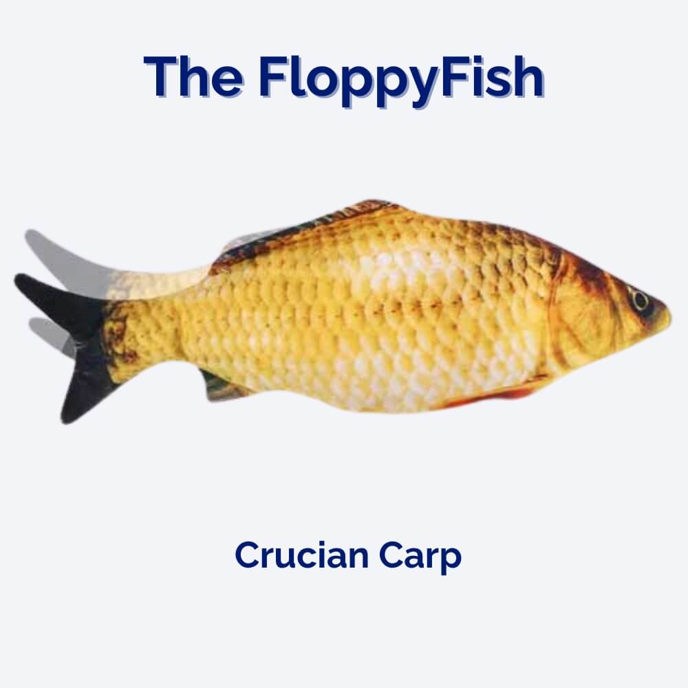 Realistic flopping fish dog toy. USB rechargeable interactive pet chew toy for enrichment & play.