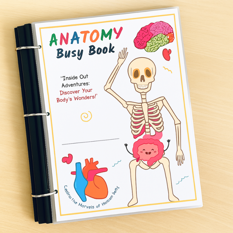 Interactive human body learning book for children, with colorful illustrations of anatomy, perfect for preschool and toddlers.