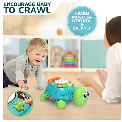 Developmental musical turtle toy for toddlers, perfect for learning and interactive play.
