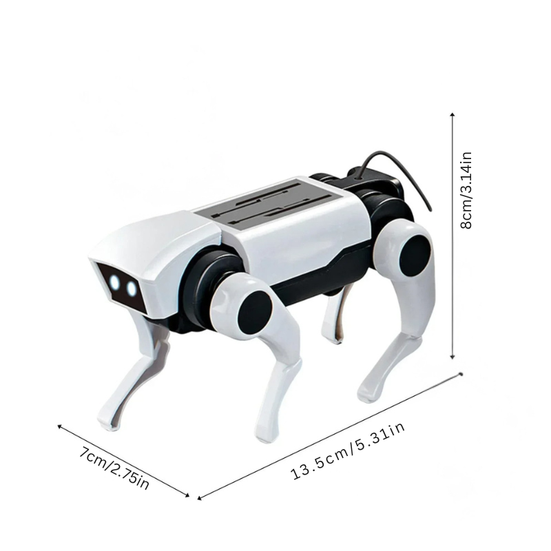 Finished Remote Control Robotic Pet, a fun and interactive DIY educational toy for kids.