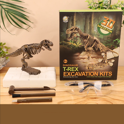 STEM toy: dinosaur fossil excavation kit inspiring learning about paleontology for kids
